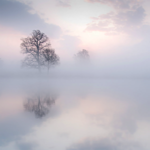 乌克兰精品色情AAAAA片
