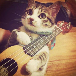 乌克兰精品色情AAAAA片
